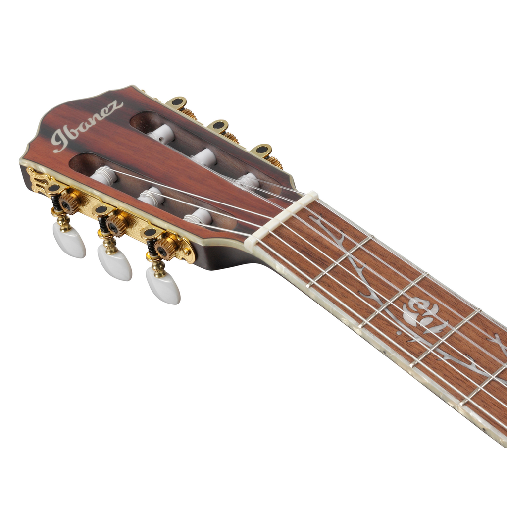 Ibanez TOD10N Tim Henson Signature Acoustic-electric Guitar - Black