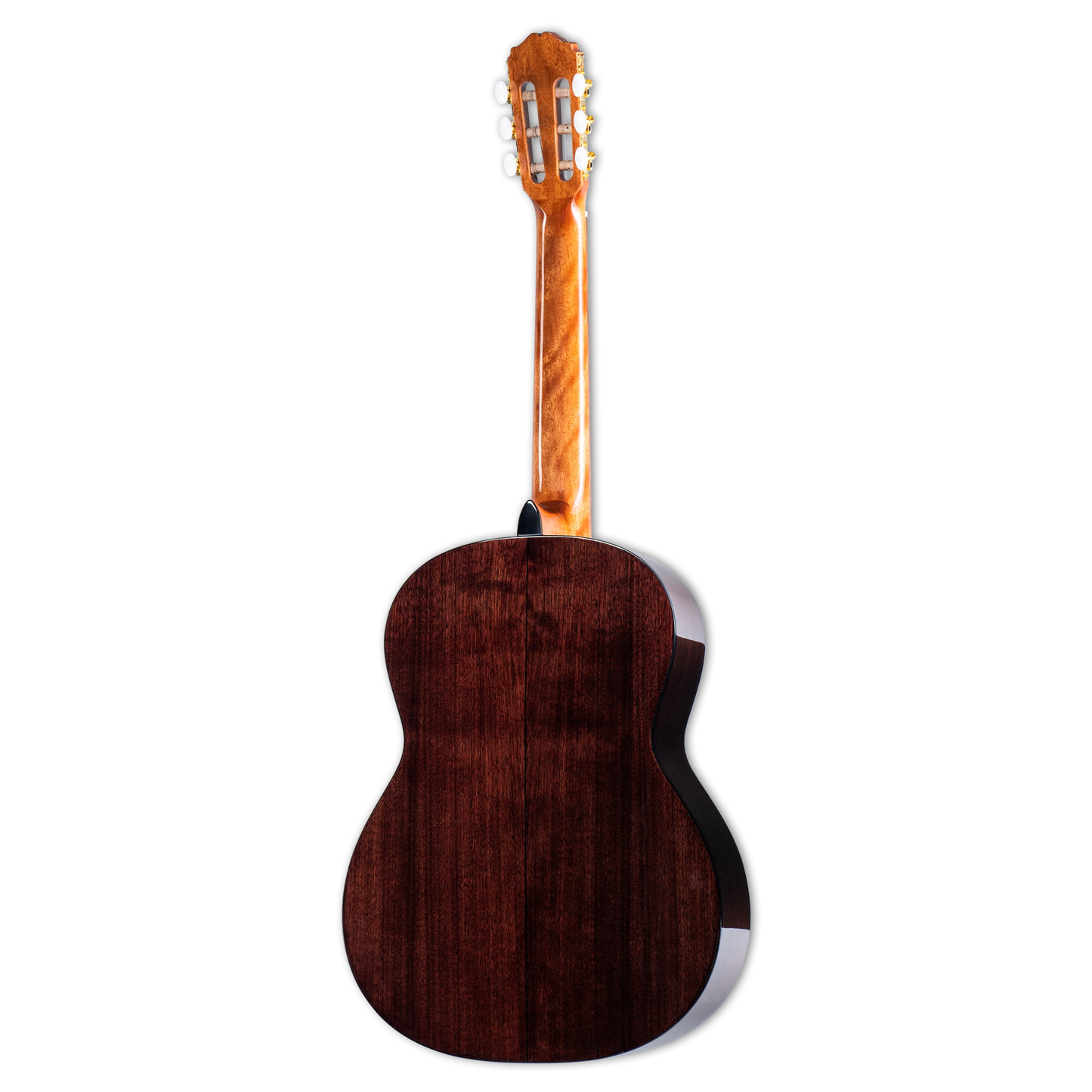 Takamine Left Handed GC5 Classical Guitar - Natural Gloss