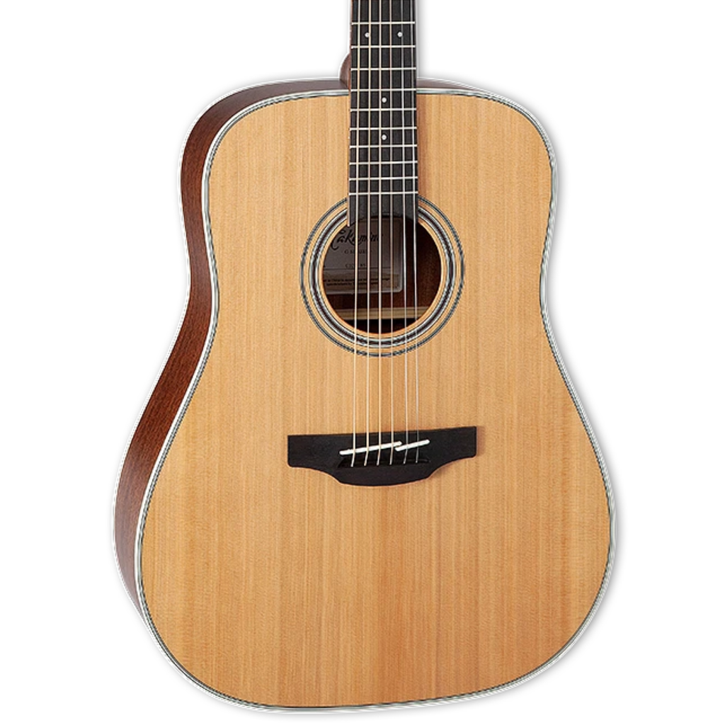 Takamine G Series GD20 - Natural Satin