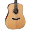 Takamine G Series GD20 - Natural Satin