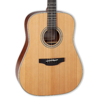 Takamine G Series GD20 - Natural Satin