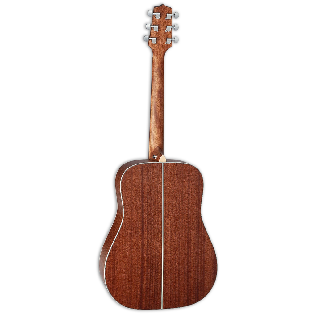 Takamine G Series GD20 - Natural Satin